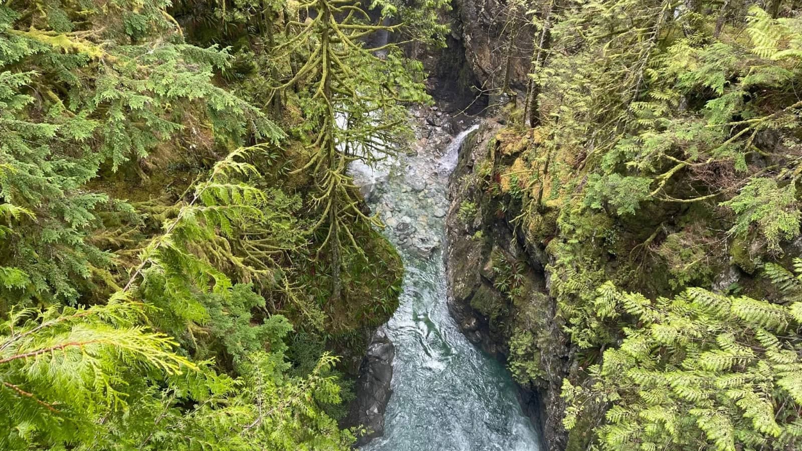 Seymour River and Fisherman's Loop: Intermediate