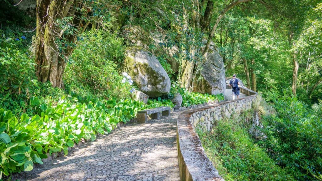 🥾 Early Bird Hikers: Sintra (WOMEN ONLY)