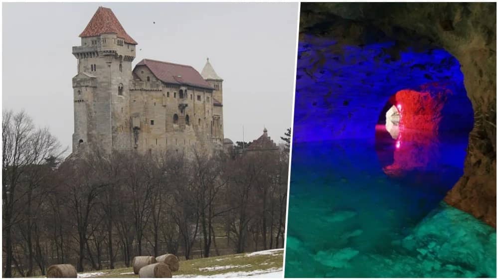 Social Hike: Beethoven Hills + Seegrotte