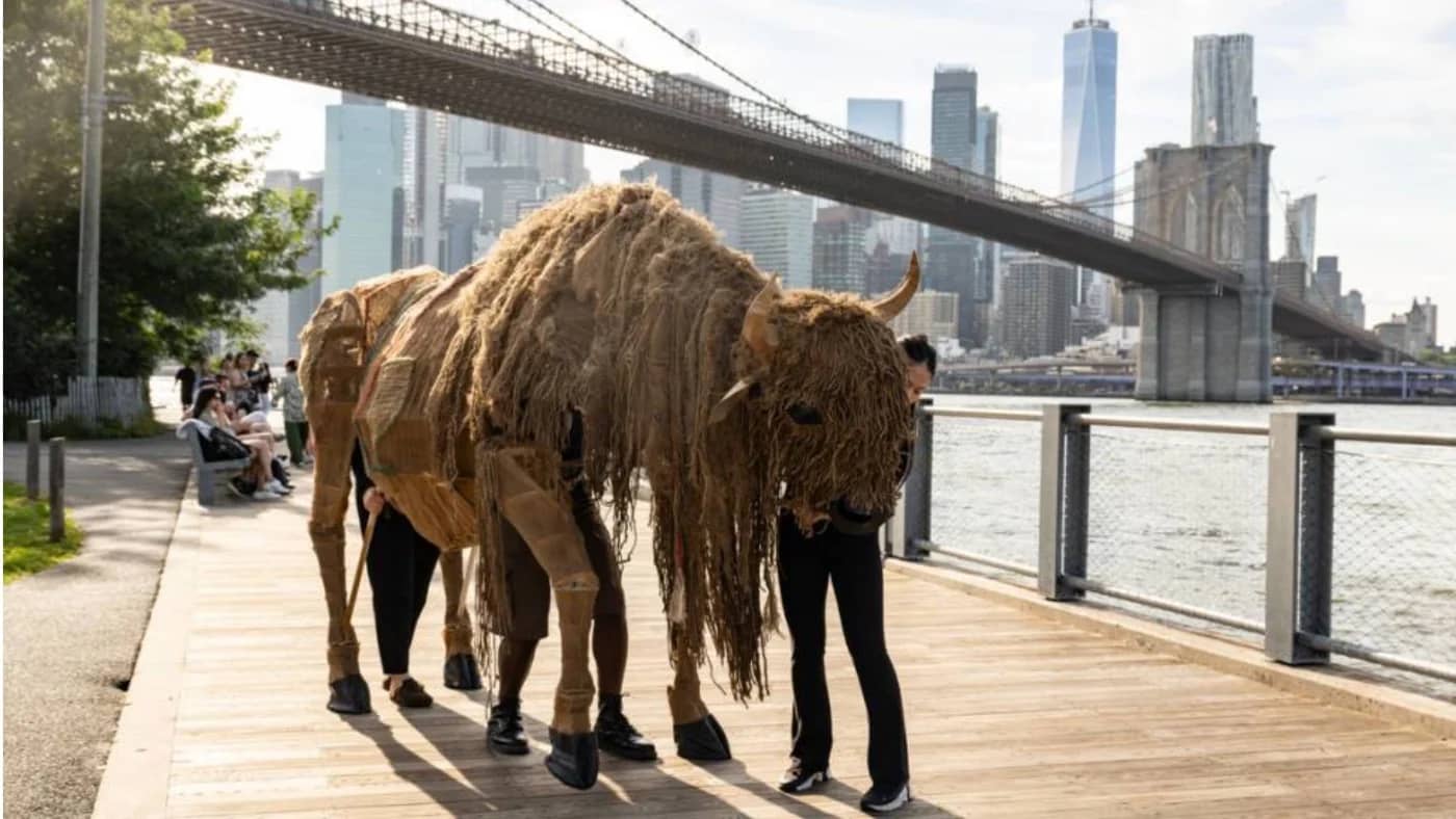 Let's See A Buffalo Parade