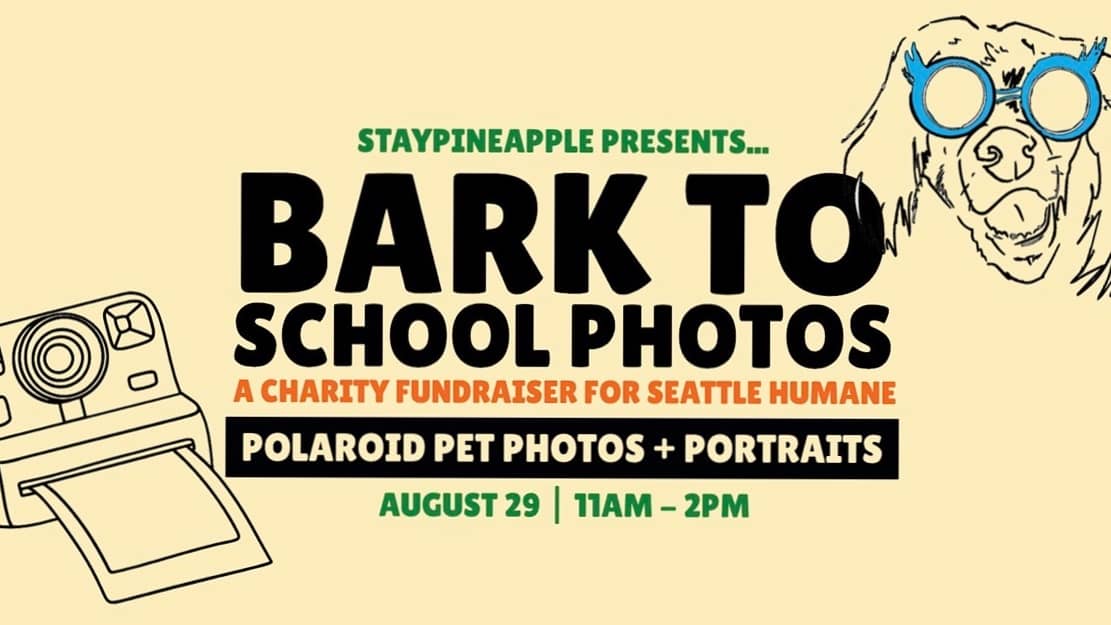 Bark to School Photos corgi takeover