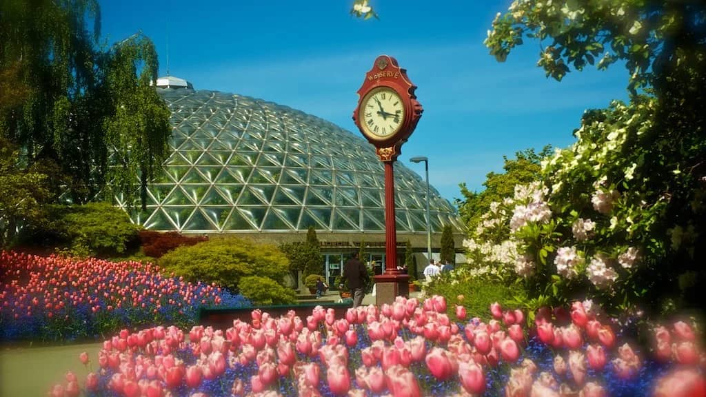 Walk in Vancouver - Kensington - Queen Elizabeth Park