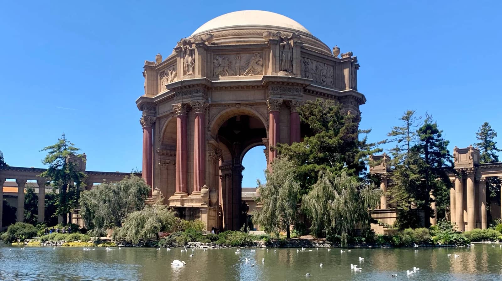 [Oct 18] Nature Journaling @Palace of Fine Arts