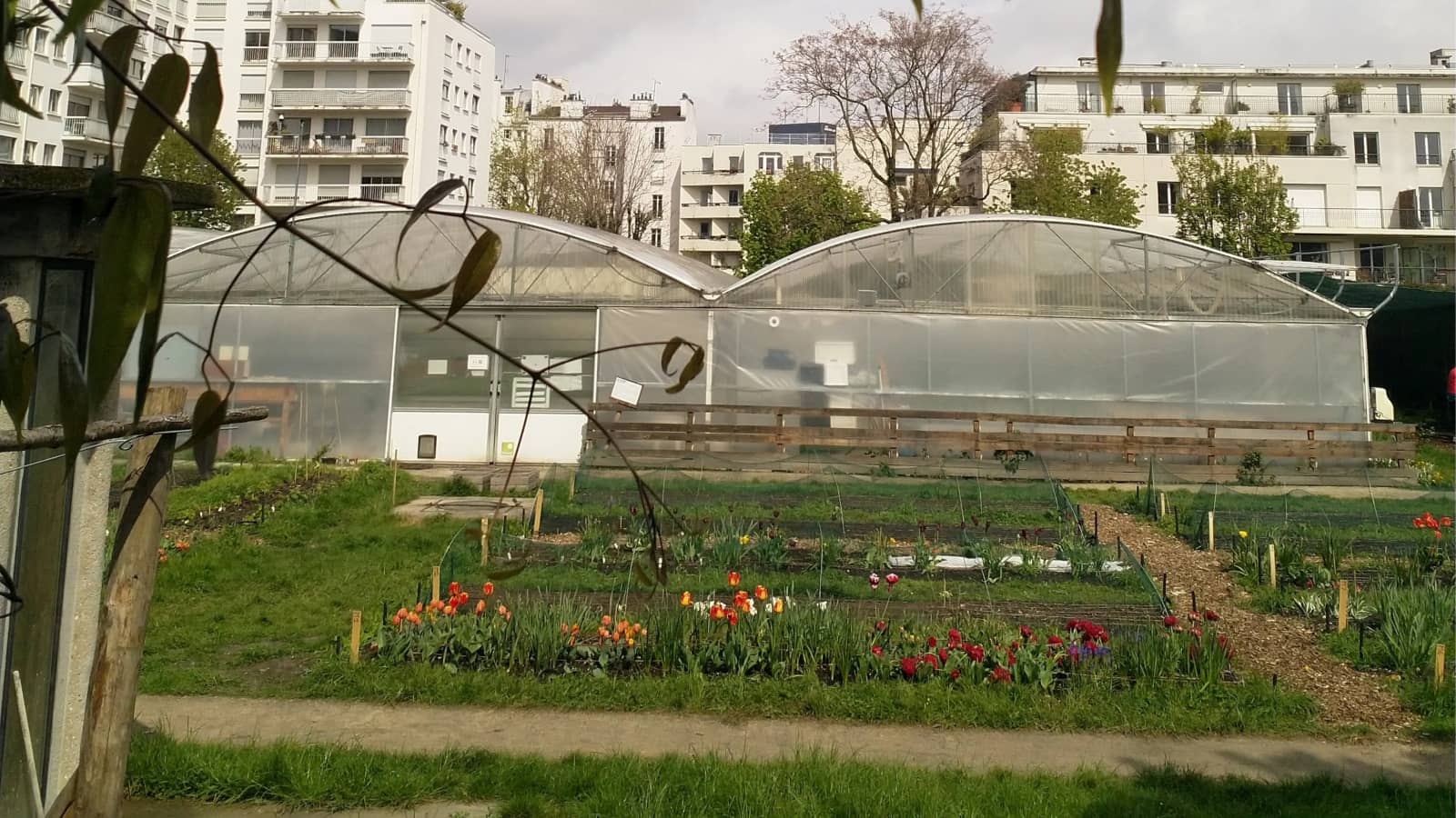 Garderners of Charonne - Les jardiniers de Charonne