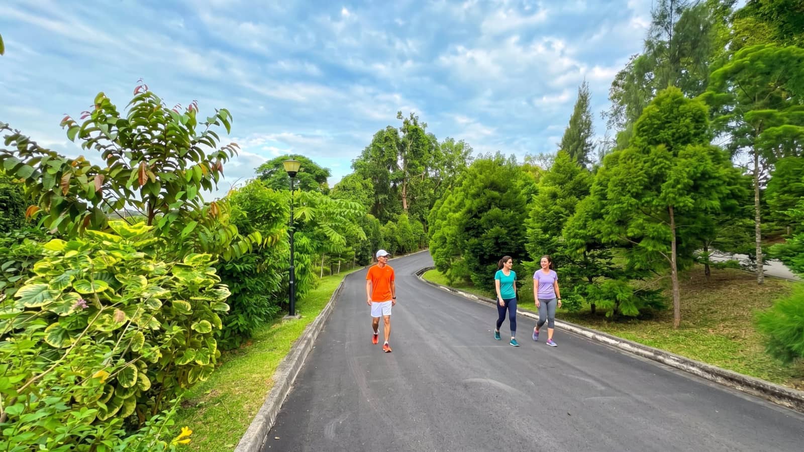 Southern Ridges Walk (Westbound Leg) & Social Dinner