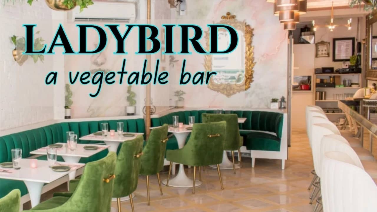 Farewell Vegan Dinner at Ladybird