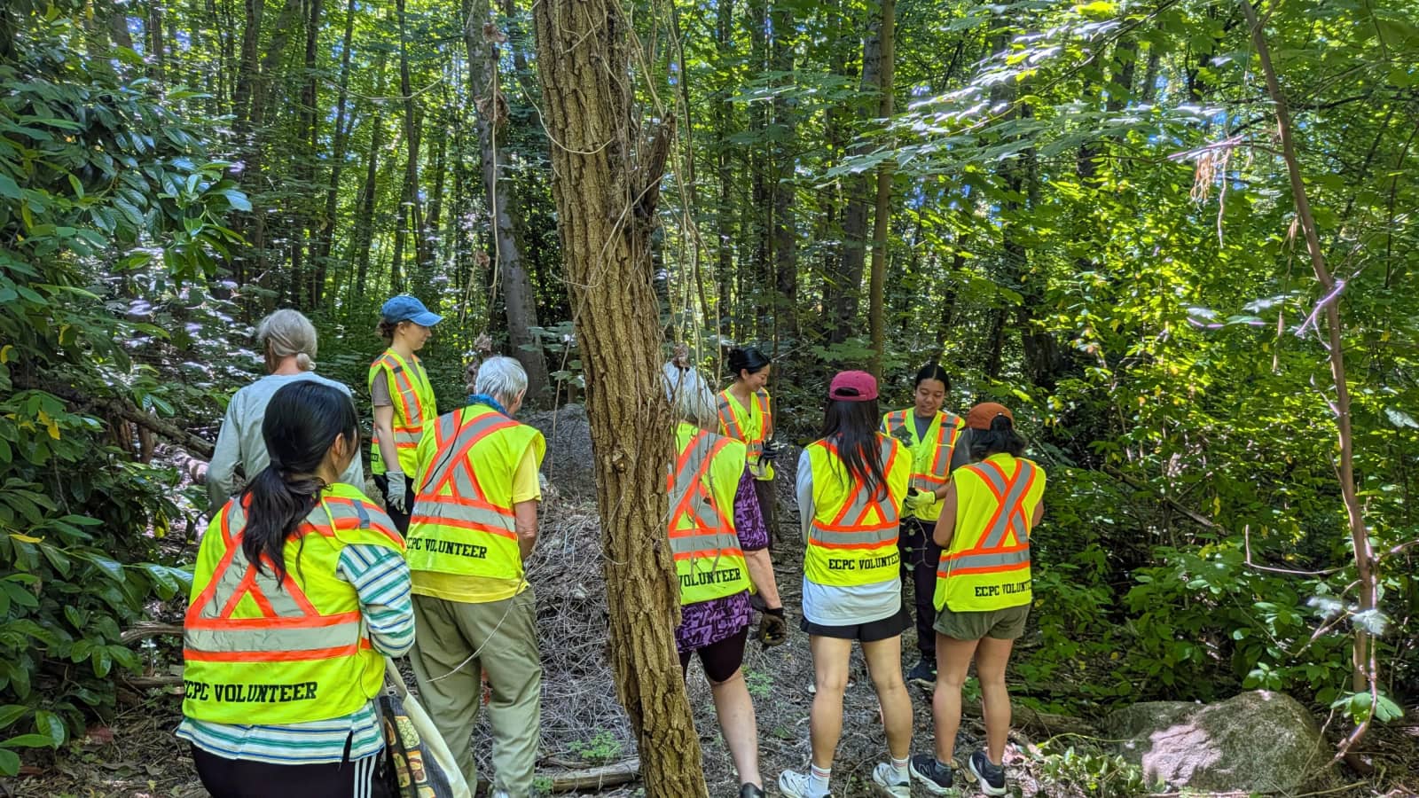 Everett Crowley Park Environmental Stewardship
