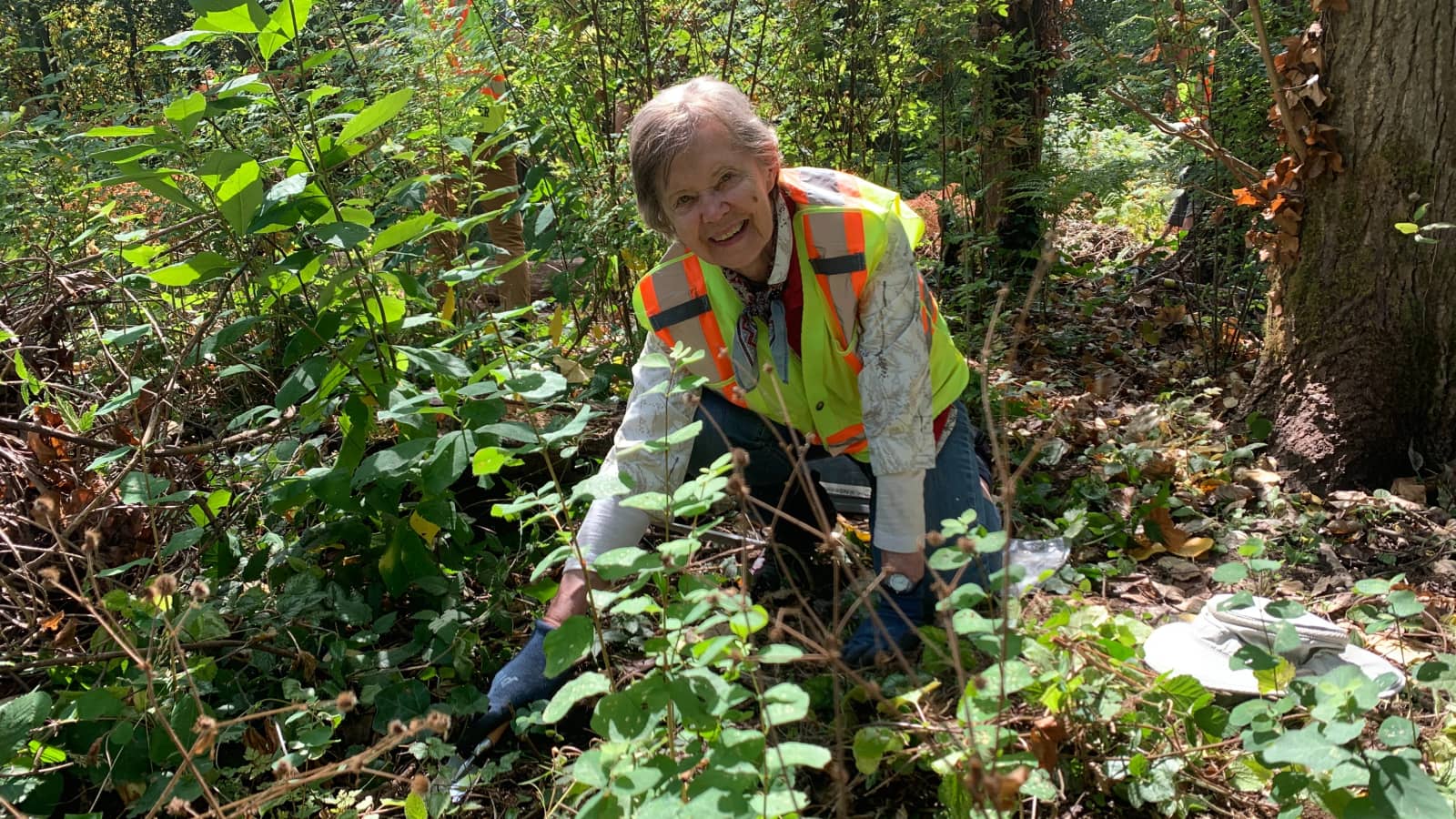 Everett Crowley Park Environmental Stewardship