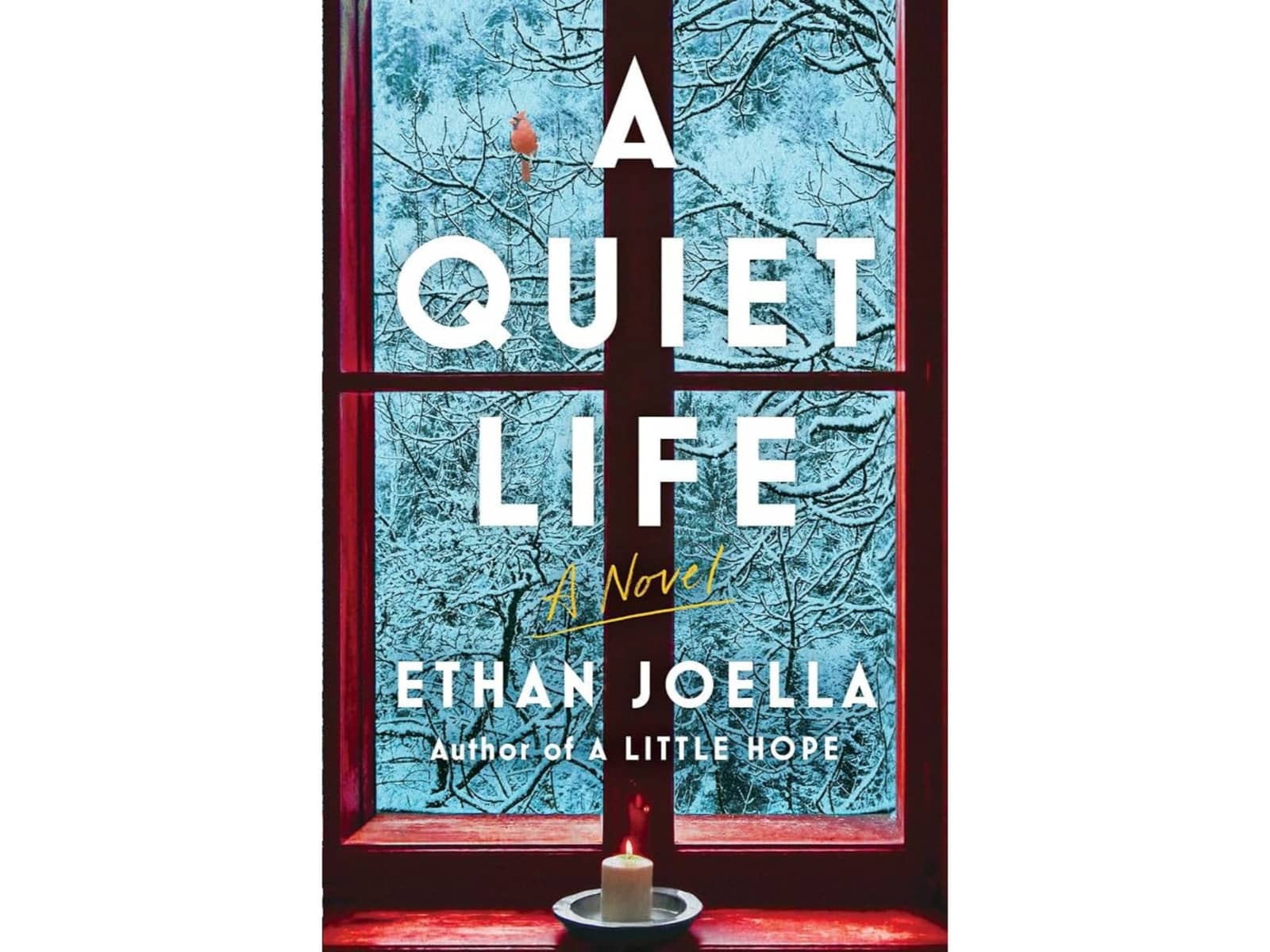 Book Discussion and Picnic - A Quiet Life