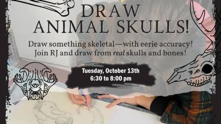 Draw Animal Skulls!