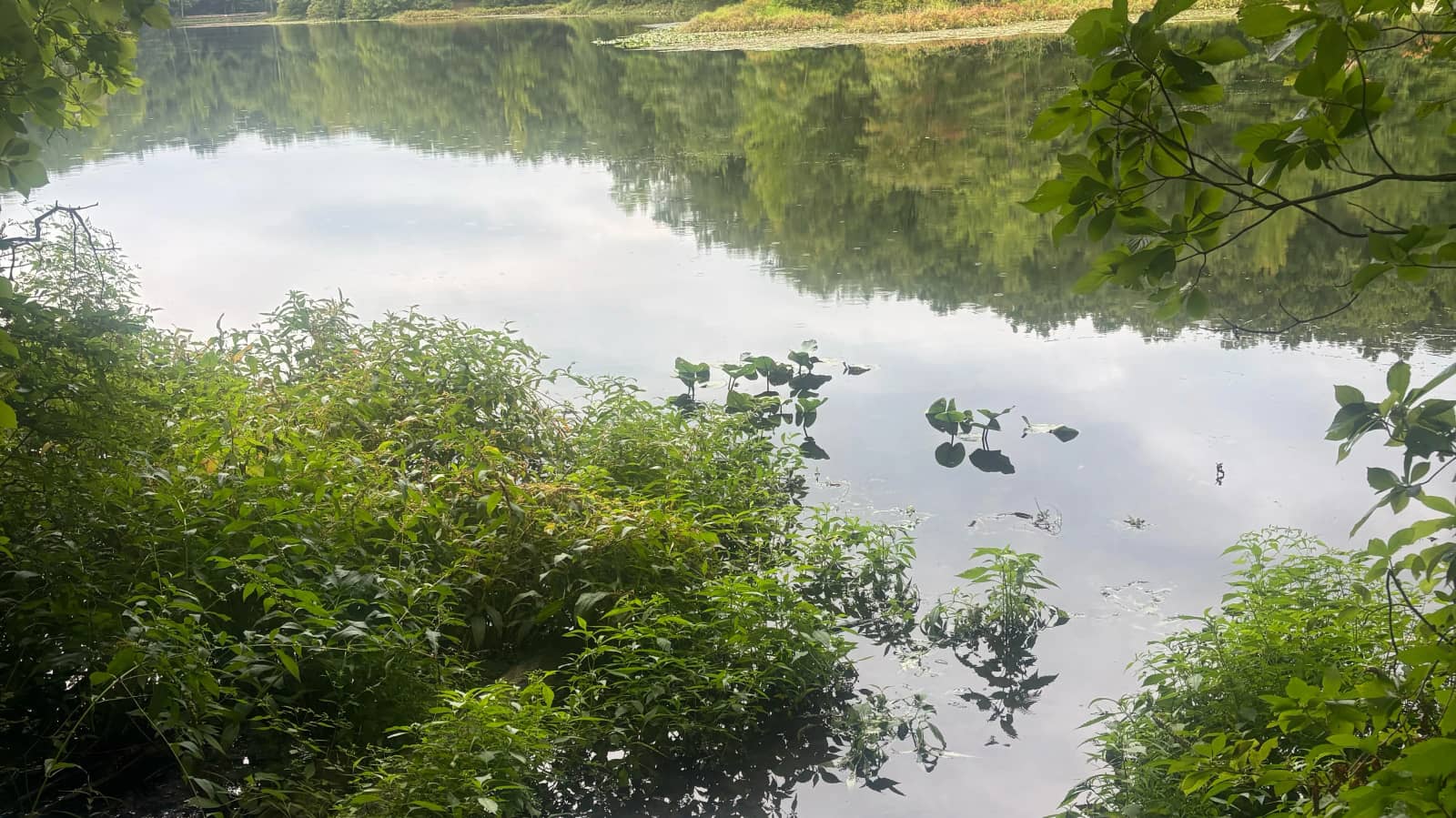 Staten Island Greenbelt Hike