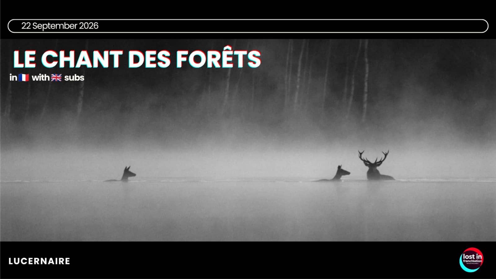 Drinks & Movie Night 🍿 Le Chant des Forêts