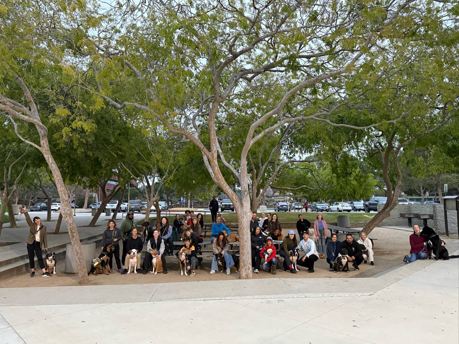 Santa Monica/Clover Park Pack Walk