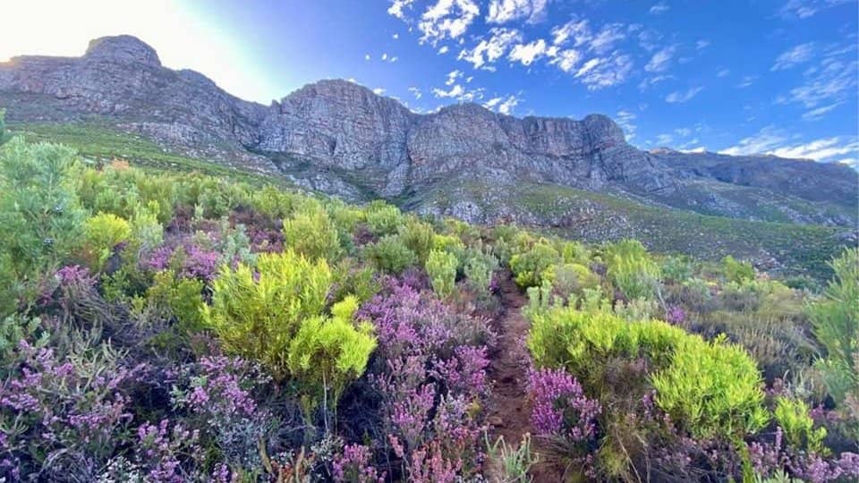 Eden Waterfalls Loop, Stellenbosch