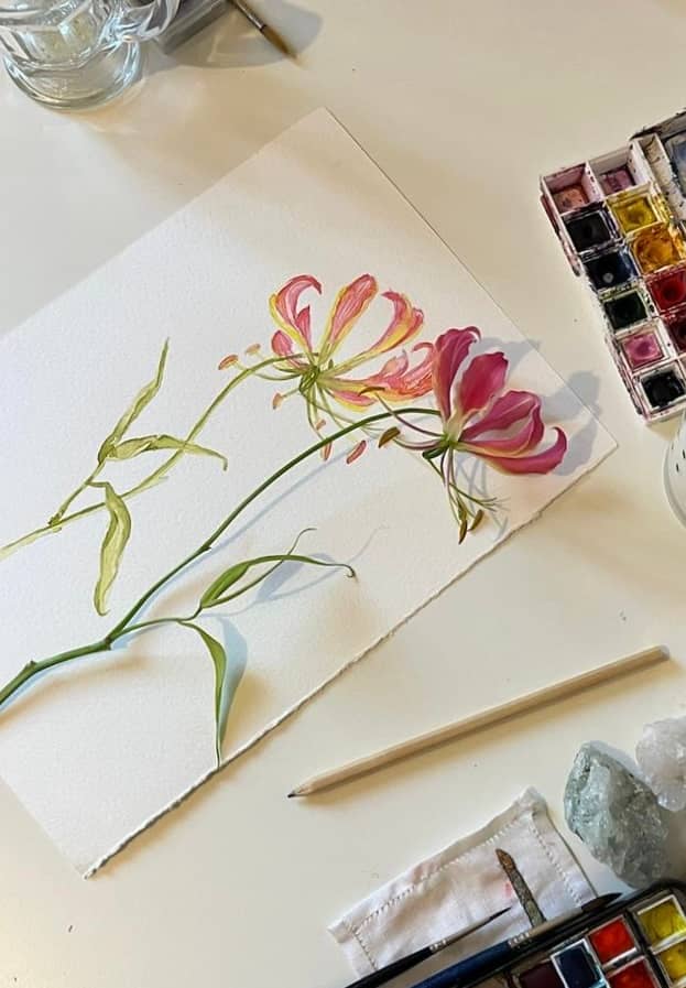Botanical Watercolor Introduction 03.08