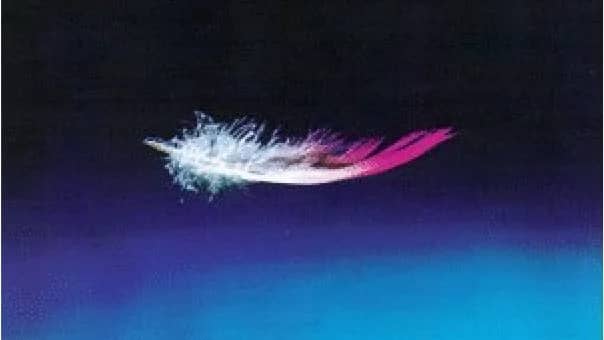LIGHTNESS!