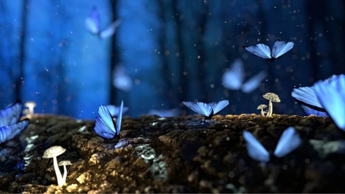 La vie est une expérience spirituelle