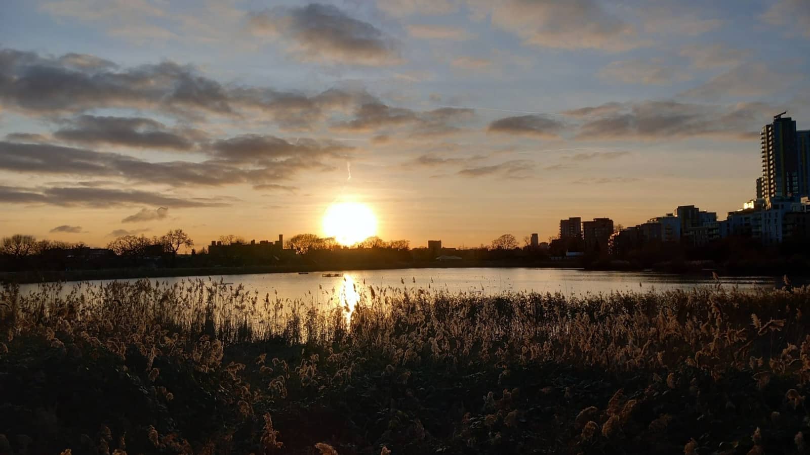 Finsbury Park and Woodberry Wetlands, 4 miles
