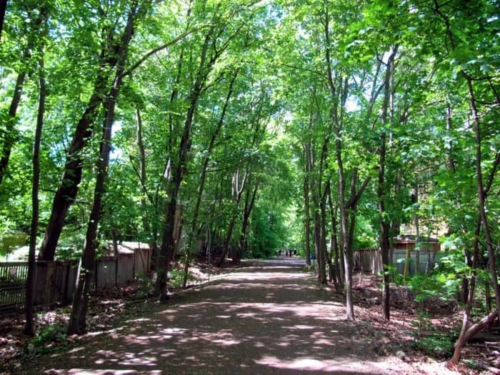 🌿🚶‍♂️ YORK BELTLINE TRAIL & Brunch! 🍻🌿