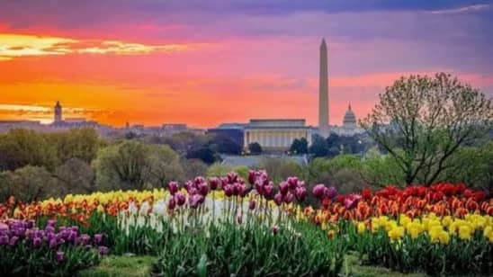 DC Vistas Walk (9 mi, U Street -> Court House)