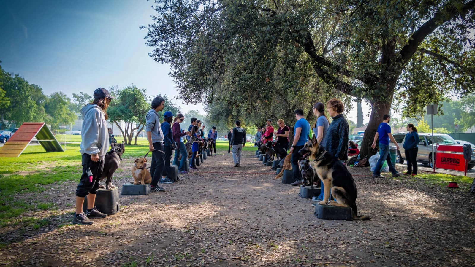 Sherman Oaks: FUN AGILITY Group Training Class