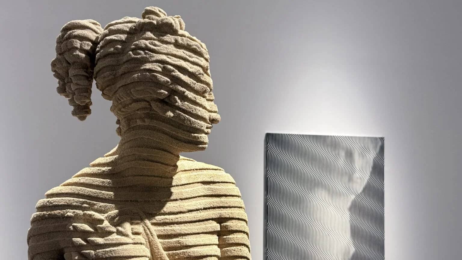 Metamorfosis: Las transformaciones de la belleza