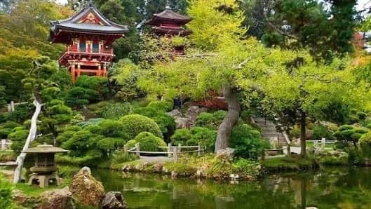Let’s Paint in the Japanese Garden