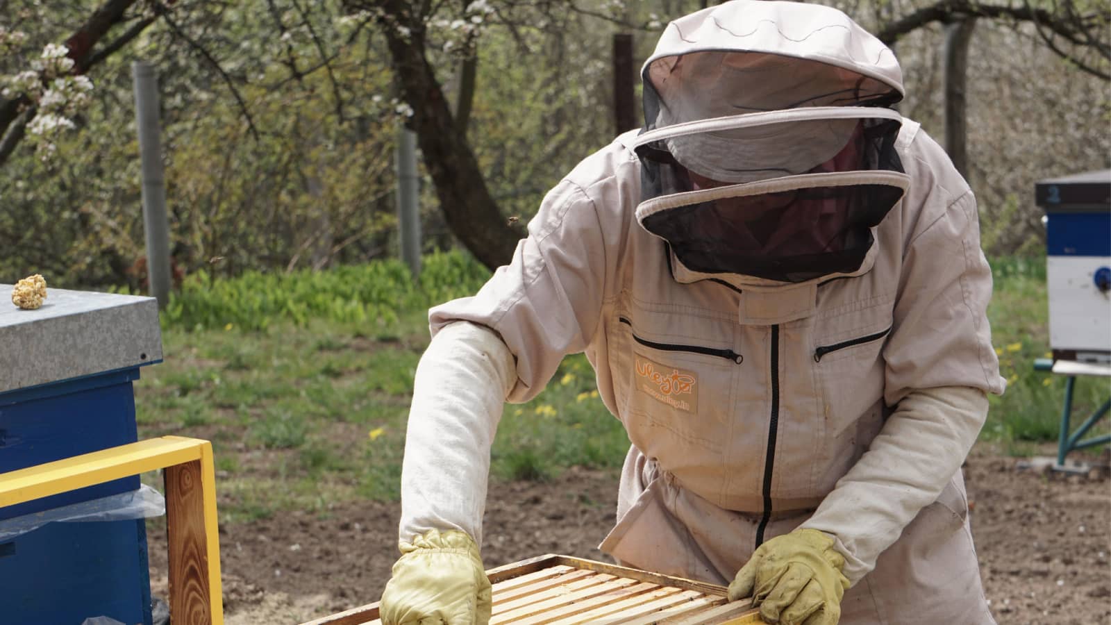 Beekeeping Class! (Paid Event)