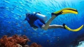Bautismo de Buceo en el Mar. (Costa Brava -Palamós)