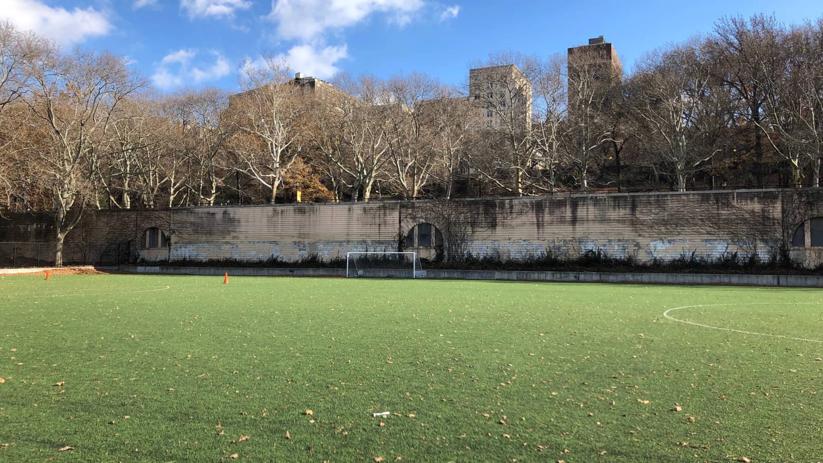 Pickup on at 103rd Riverside Park turf fields (9 AM start)