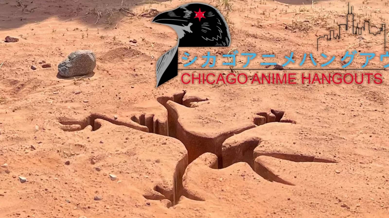 Coyote vs. Acme - Movie Night