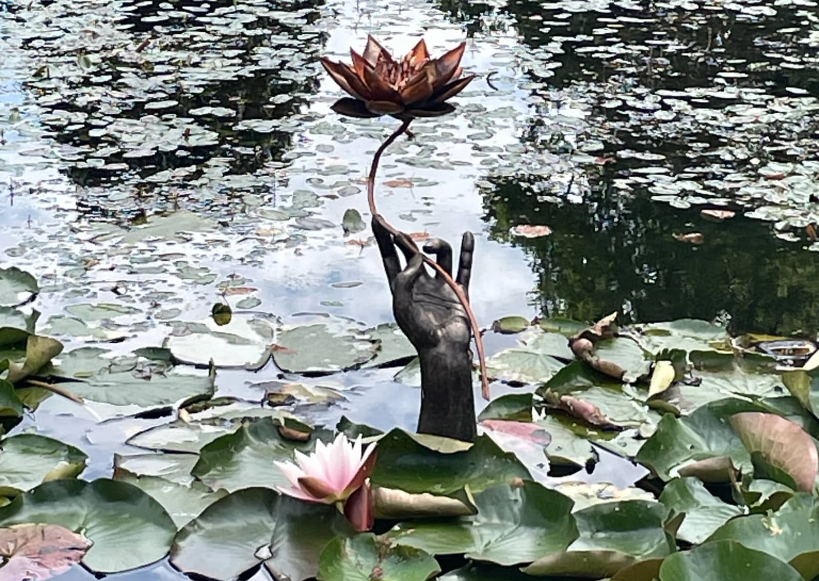 Introductory meditation & meaningful conversations 瞑想とフレンドシップお茶会