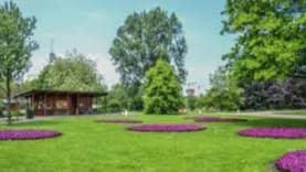 🌿 Pure Markt at Amstelpark – Summer Stroll & Good Company 🌸
