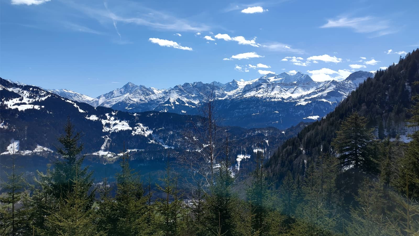 Mt Mitsutoge: 6-hour Day Hike from Tokyo | 14km, +1100m