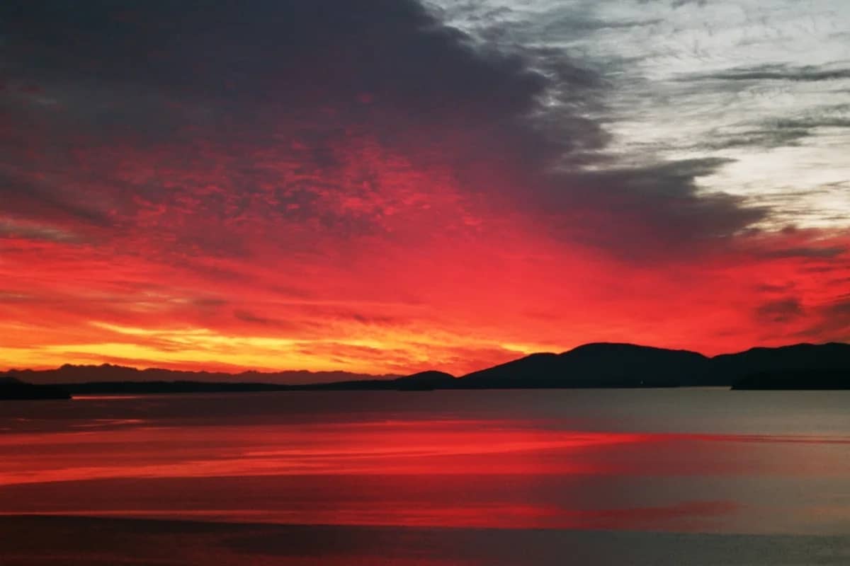 SF Men's Group: Tending the Fire Within