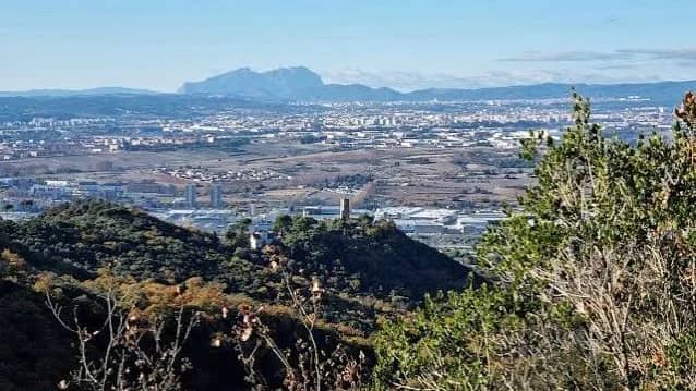🏃♂️🌲🌳 RUTA NATURALISTA "EL TUROMAL"