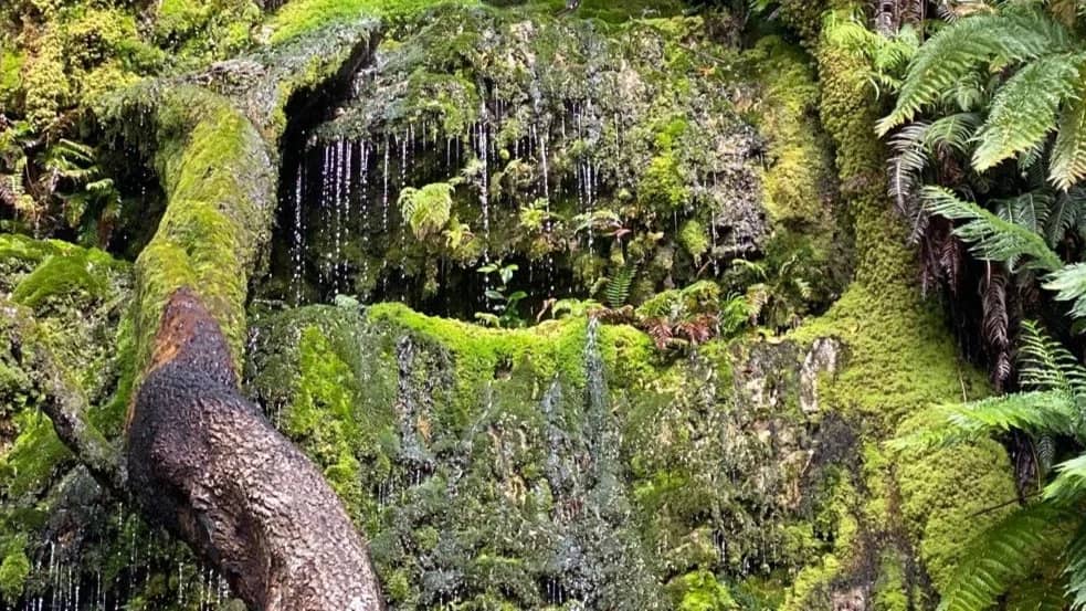 HIKE ⛰ Cecilia Waterfall Hike
