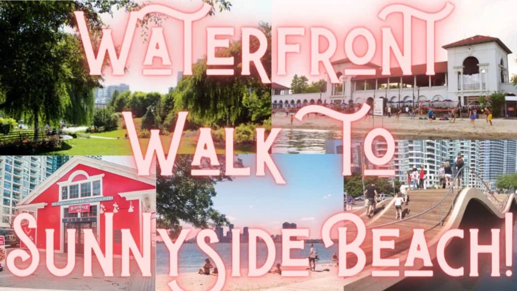 Waterfront Walk to Sunnyside Beach! 9KM