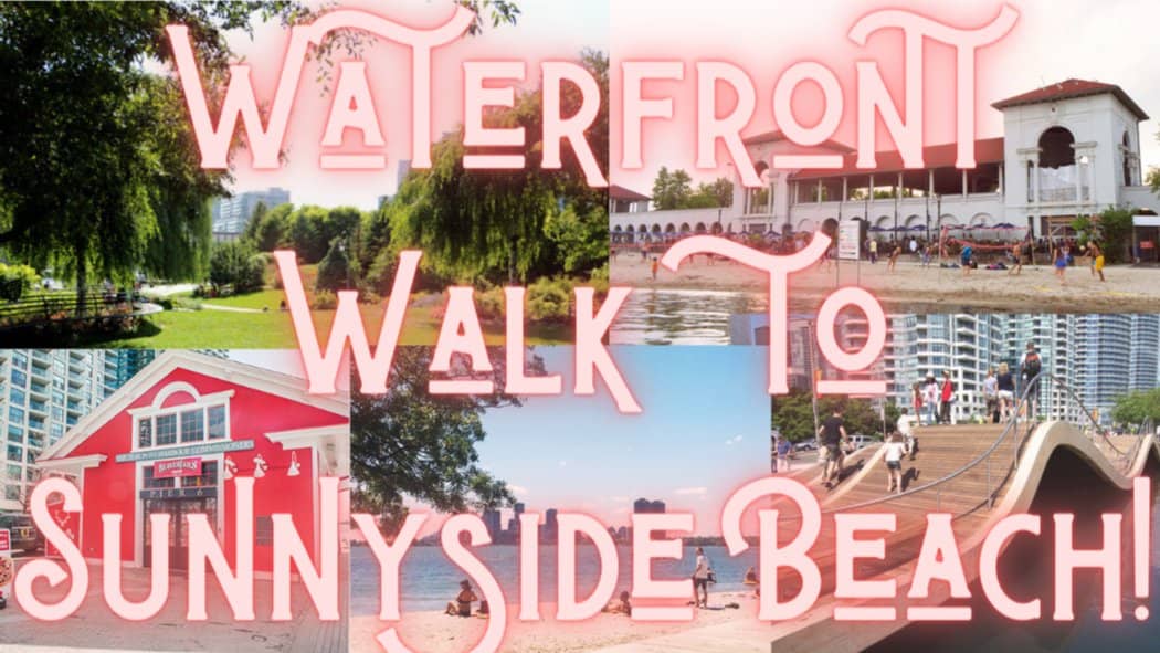 Waterfront Walk to Sunnyside Beach! 9KM