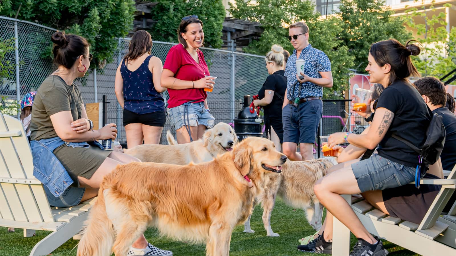 Dog-Friendly Business Networking Toronto | Brews, Business & Chews 🐶