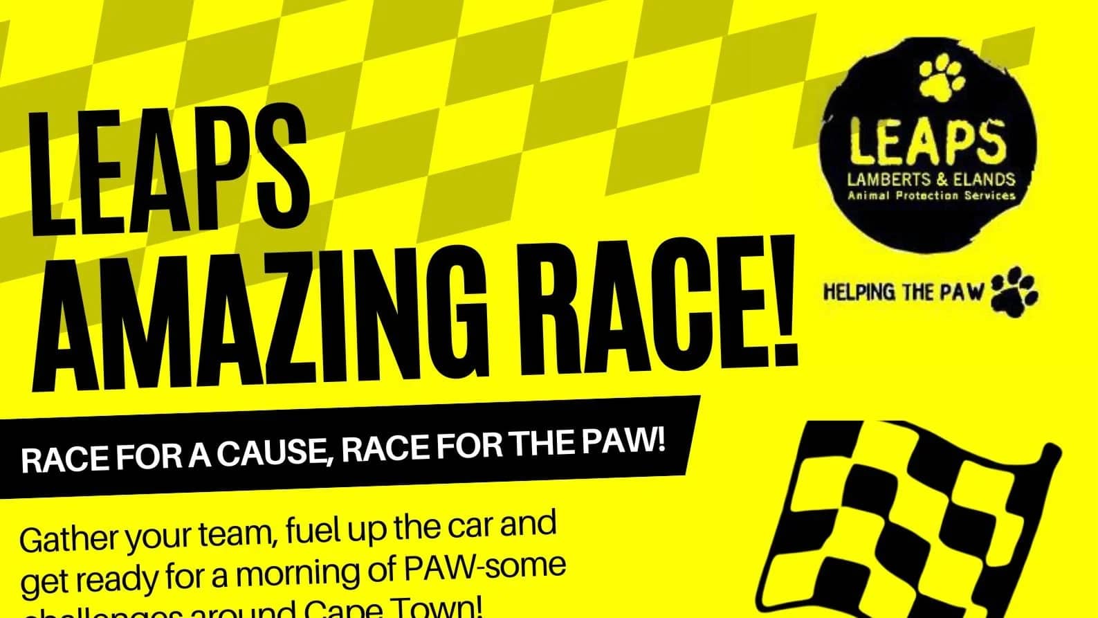 🐾 LEAPS AMAZING RACE! 🏁
