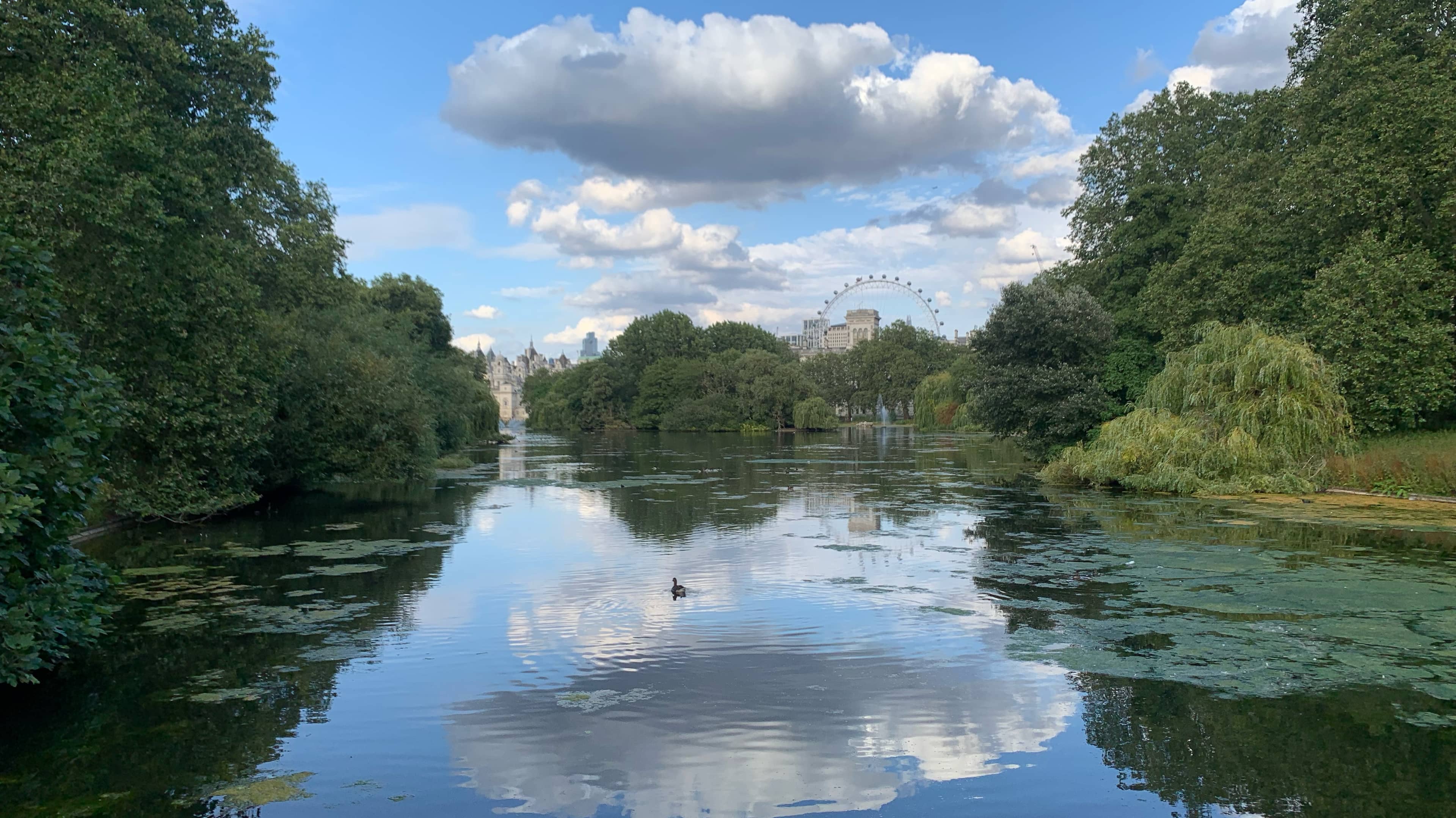 London Society WALK - St James Park