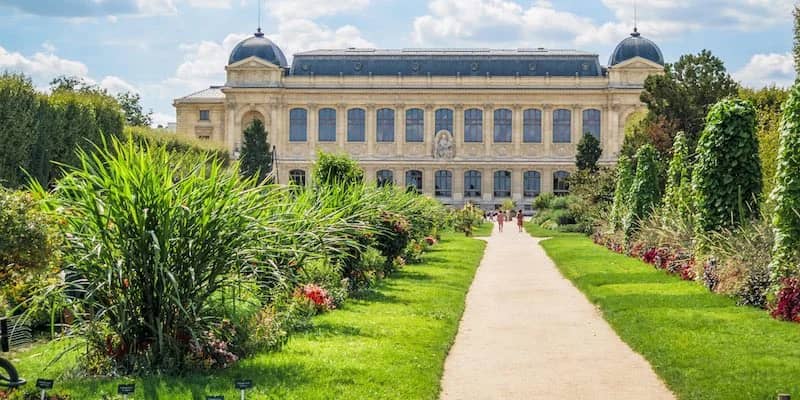 Drawing Meetup au Jardin des Plantes et ses Galeries