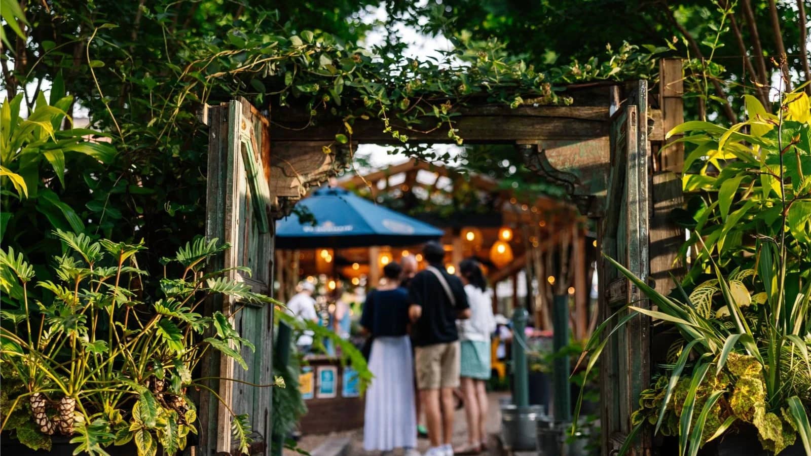Drinks and Food - ¡Andale! (garden, drinks)