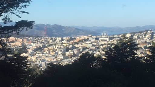 Buena Vista Park & Sutro Mountain Hike (Haight Street Fair) Dogs welcome