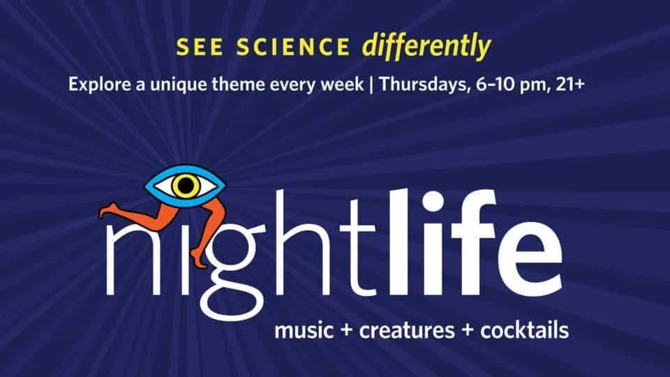 Nightlife @ CA Academy of Science