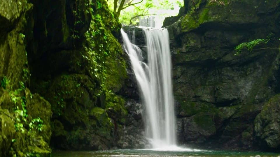 🤽🏻‍♀️ Refreshing Takihata Springwater Waterfalls Hike 🤽🏻‍♀️