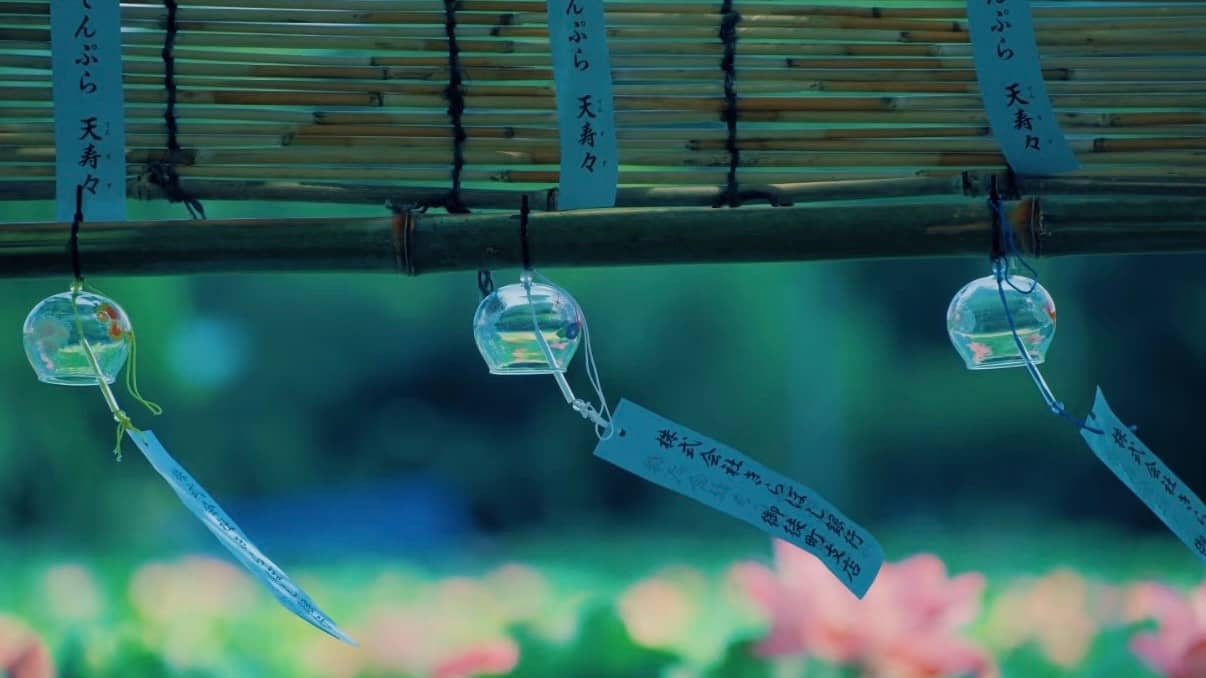 🎐 Wind Chimes, Lotus & Lanterns – Ueno Summer Social Picnic 🏮