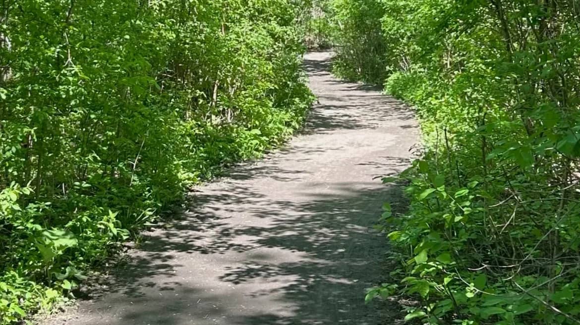 Nature Walk and Talk