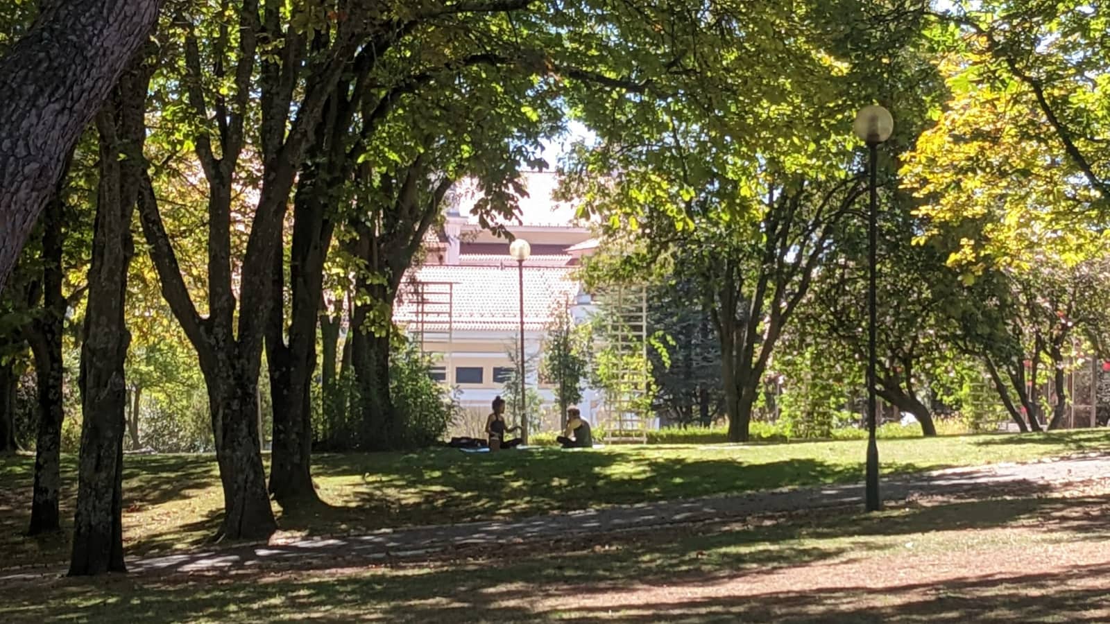 Yoga in Parque Eduardo VII